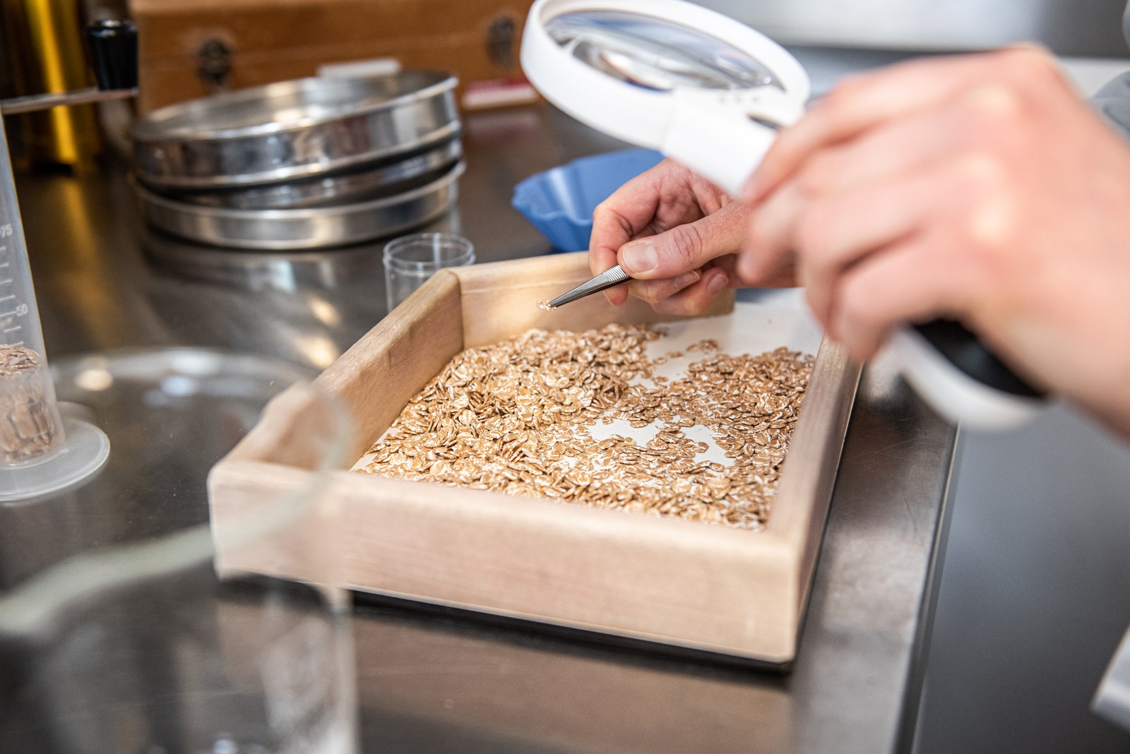 Laborfachkraft PrimaVera Naturkorn